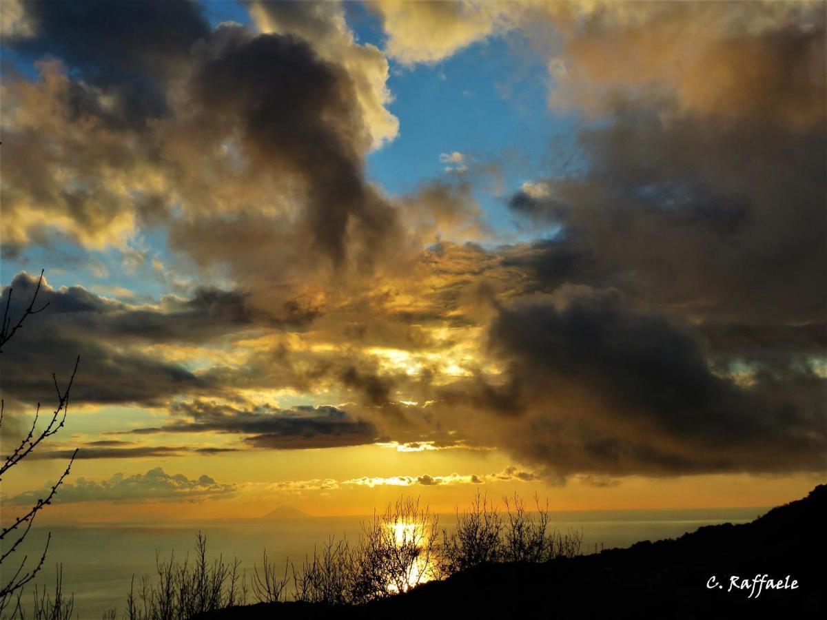 Vila Borghi Vivi Falerna Exteriér fotografie